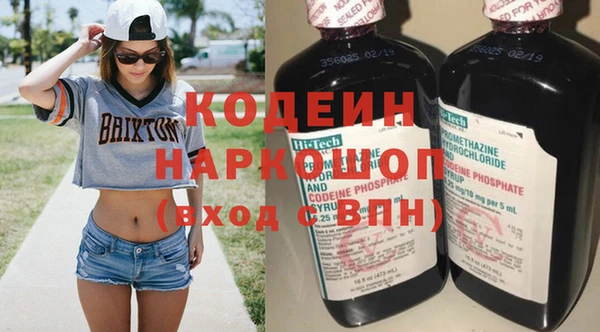 прущие грибы Тутаев